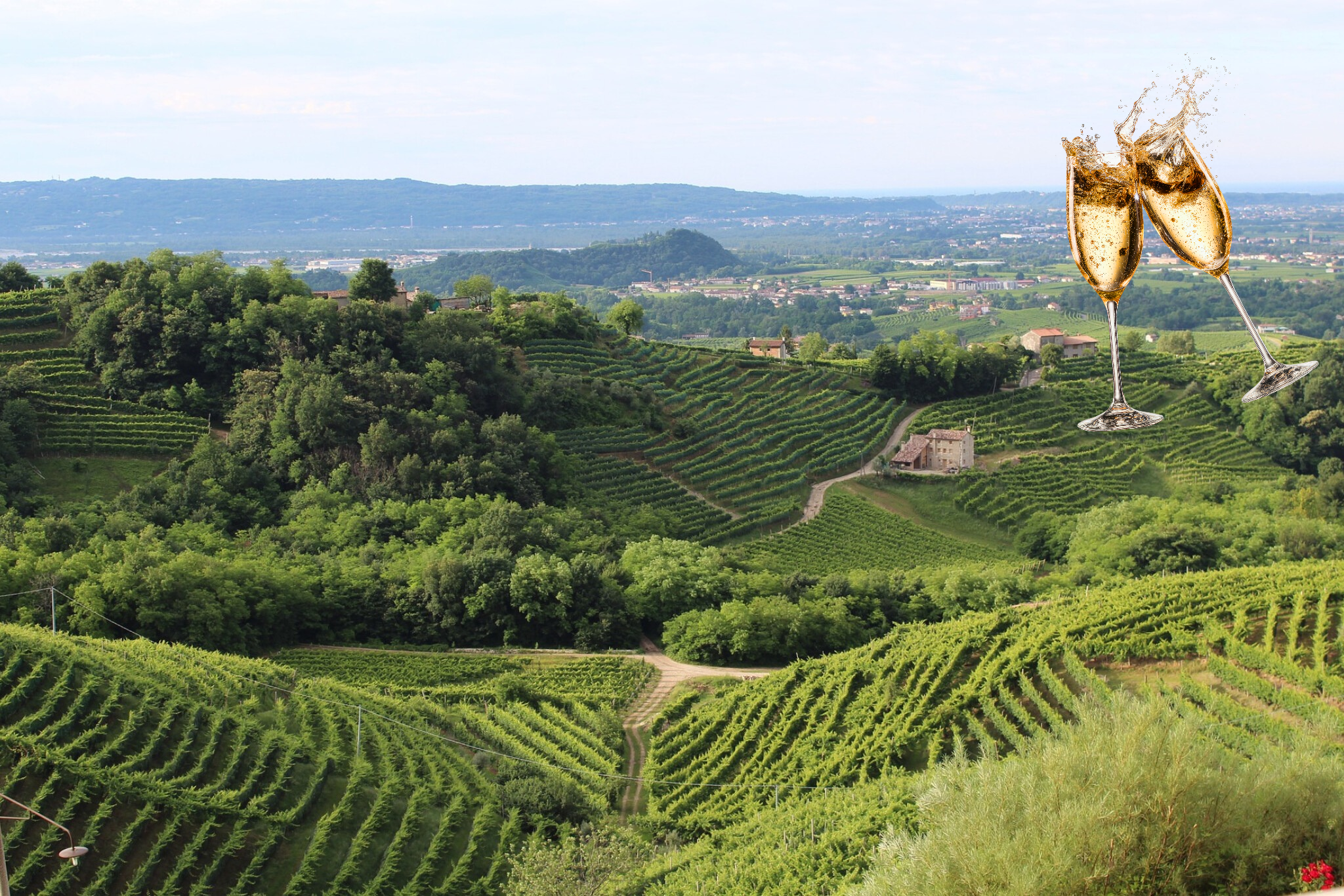 Prosecco Reise mit Sektgläsern