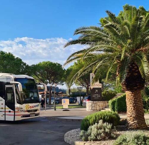 BrunnerReusenBus-in-der-Palmenlandschaft